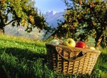 WORLD EXPO TOUR LONDRA/6,FAVA:PRODOTTI LOCALI NOSTRA RICCHEZZA DA PROTEGGERE