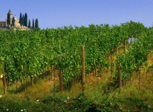 VINO,DOMANI FAVA INAUGURA FRANCIACORTA IN BIANCO