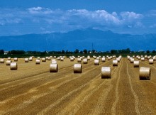 EXPO, 1 MILIONE PER LA VALORIZZAZIONE DEL TERRITORIO