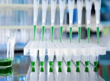 ‘GRANT 2015’,MANTOVANI: MILANO CAPITALE DELLA SCIENZA E DELLA RICERCA