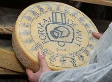 LUNEDÌ FAVA A ‘BERGAMO CAPITALE DELLE DOP’