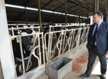 AGRICOLTURA/PSR,FAVA: E’ NOSTRO SISTEMA CHE SOSTIENE SVILUPPO RURALE