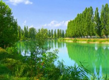 GIUNTA. AMBIENTE, APPROVATO PROGRAMMA PARCHI REGIONALI