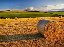 APREA A TAVOLA ROTONDA MINOPRIO SU FORMAZIONE IN AGRICOLTURA