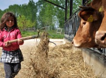 FATTORIE DIDATTICHE,FAVA: NOI PRESENTI NEGLI SPAZI EXPOFACTORY