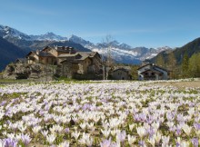 DOMANI AL 5° FESTIVAL DELLE ALPI