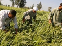 AGRICOLTURA,FAVA:POSSIBILE UNA MISSIONE IN IRAN CON NOSTRE IMPRESE