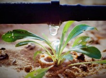 CONVEGNO SU CIBO E IRRIGAZIONE