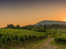 DOMANI GIORNATA DEDICATA A ERBUSCO E FRANCIACORTA