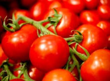 POMODORO,FAVA:CON NUOVA FUSIONE CONSORZIO CASALASCO TERZO PRODUTTORE IN UE