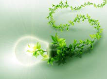 CONVEGNO SU GREEN ECONOMY