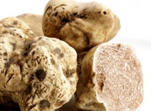 DOMANI MARONI A FIERA DEL TARTUFO A PADIGLIONE COLDIRETTI