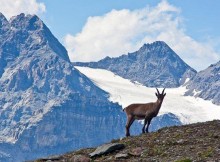 PARCO STELVIO,TERZI E PAROLO DOMANI A INCONTRO A PIANETA LOMBARDIA