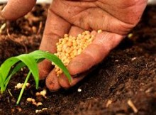 DOMANI MARONI A GIORNATA MONDIALE DELL’AGRICOLTURA