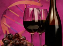 VINO,DOMANI FAVA A CONVEGNO SU BIODIVERSITA’ E TERRITORI