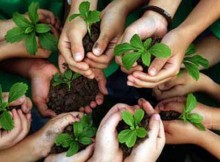 EDUCAZIONE AMBIENTALE,TERZI:STRUMENTO FONDAMENTALE