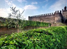 VINO, MARONI: REGIONE ATTENTA A PRODUZIONE DI QUALITA’