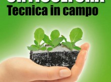 GUIDIZZOLO/MN,DOMANI FAVA A ‘ORTICOLTURA TECNICA IN CAMPO 2016’