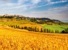 AGRICOLTURA,FAVA: OGGI NASCE LA MACROREGIONE FORESTALE DEL NORD