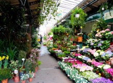 MOSTRE MERCATO FLOREALI, FAVA PRESENTA DUE EVENTI IN PROV. DI MANTOVA