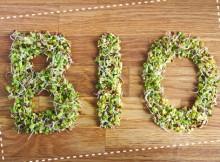 BIOLOGICO, FAVA: SCELTA ETICA E CULTURALE CHE SOSTENIAMO CON IL PSR