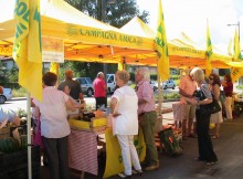 PAVIA, DOMANI FAVA A MERCATO ‘CAMPAGNA AMICA’ COLDIRETTI
