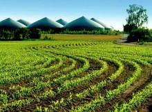BIOGAS ED ENERGIA,FAVA FIRMA INTESA A BRUXELLES CON CONSORZIO INDUSTRIE BIOECONOMIA