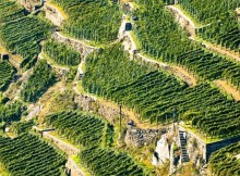 ASSEMBLEA ASSOCIAZIONE STRADE DEI VINI E DEI SAPORI