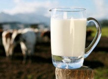 LATTE, FAVA: PER FILIERA LATTIERO CASEARIA  SERVE ADEGUATA REMUNERAZIONE MATERIA PRIMA