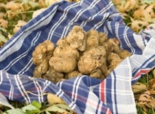 TUBERFOOD,FAVA:LA TRADIZIONE CHE PROMUOVE IL TERRITORIO