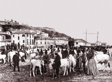 CAPPELLINI INAUGURA ‘FIERA DI SAN MARTINO’