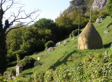 AGRICOLTURA DI MONTAGNA,FAVA: MASSIMO SUPPORTO DA ENTE PUBBLICO, MA PROGETTI ARRIVINO DA TERRITORI