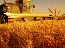 CONVEGNO SU AGRICOLTURA E AGROALIMENTARE