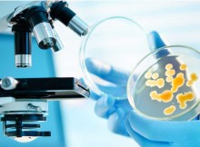 RICERCA, DEL GOBBO: UN ‘FORO’ PER PORTARE QUI I MIGLIORI 10 INNOVATORI DEL MONDO