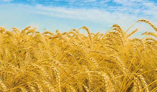 L’AGROALIMENTARE PIACE AI GIOVANI