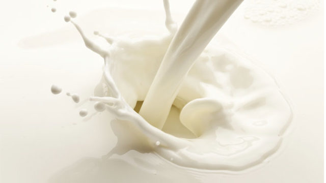 LATTE, PRESTO UN TAVOLO REGIONALE