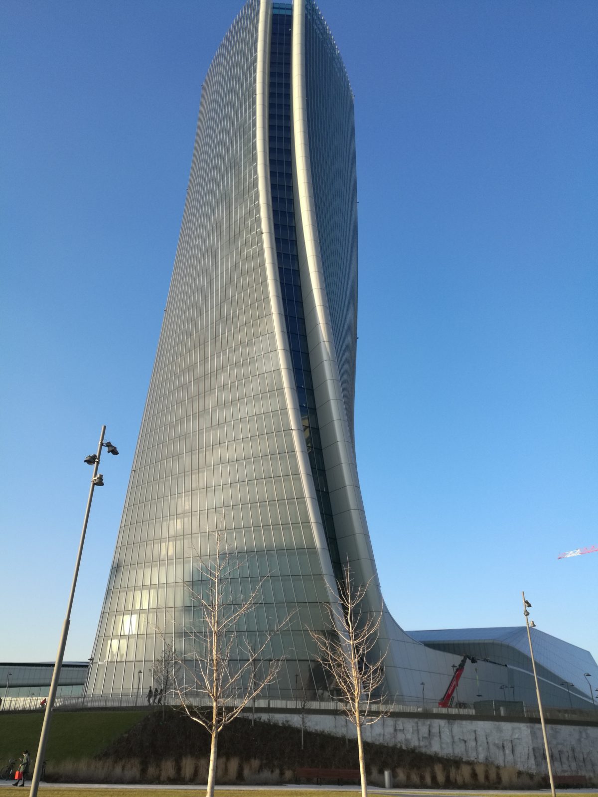 TORRE HADID