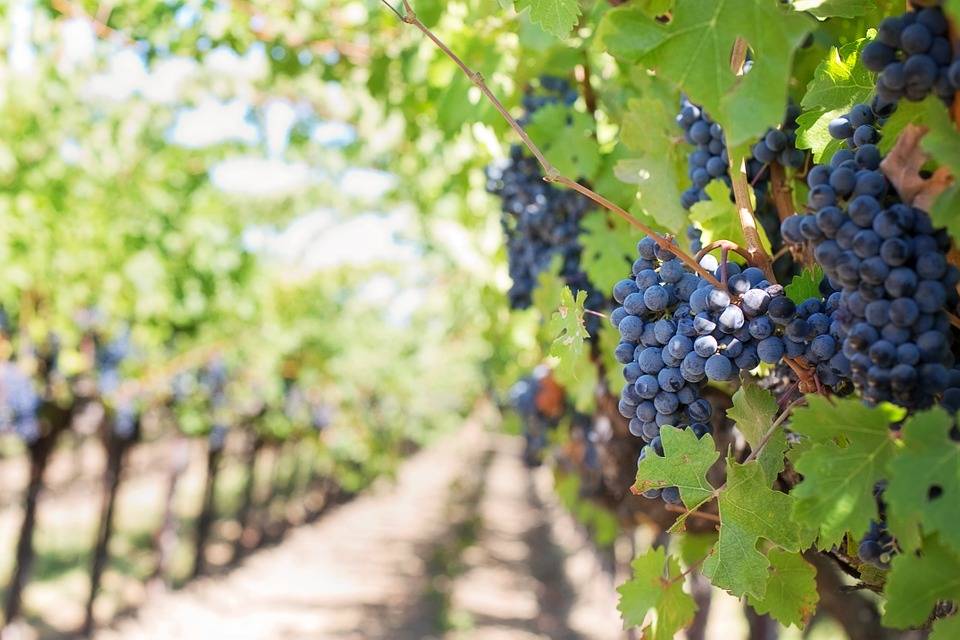 ENOTURISMO FRANCIACORTA
