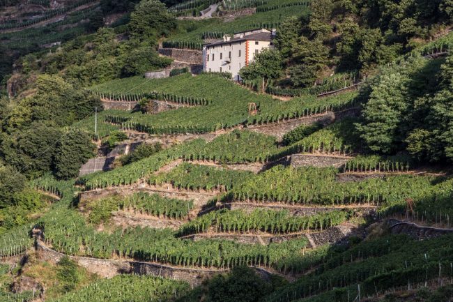 ‘ARTE DEI MURETTI A SECCO’