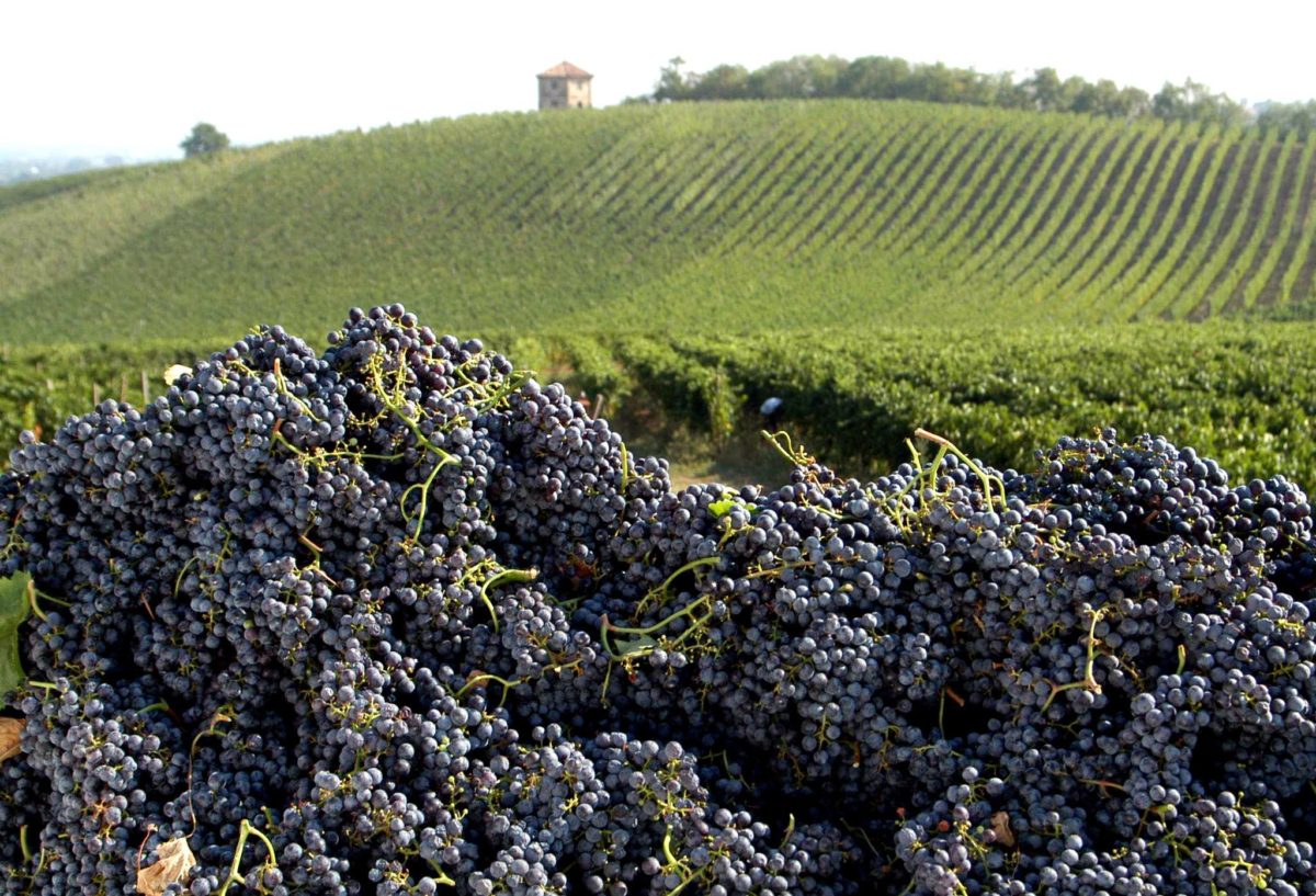 ‘UN TAVOLO OLTREPÒ PER IL VINO’