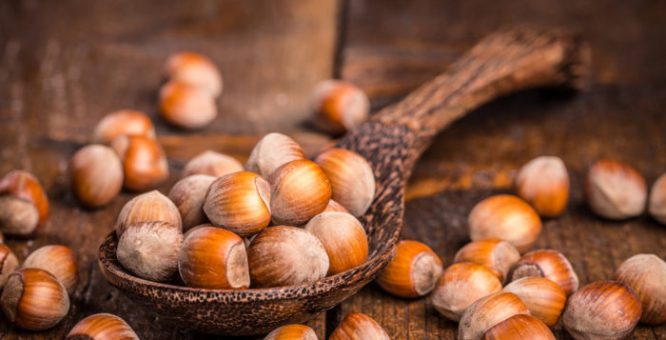 NOCCIOLE ECCELLENZA LOMBARDA
