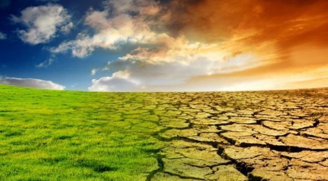 FORUM CLIMA