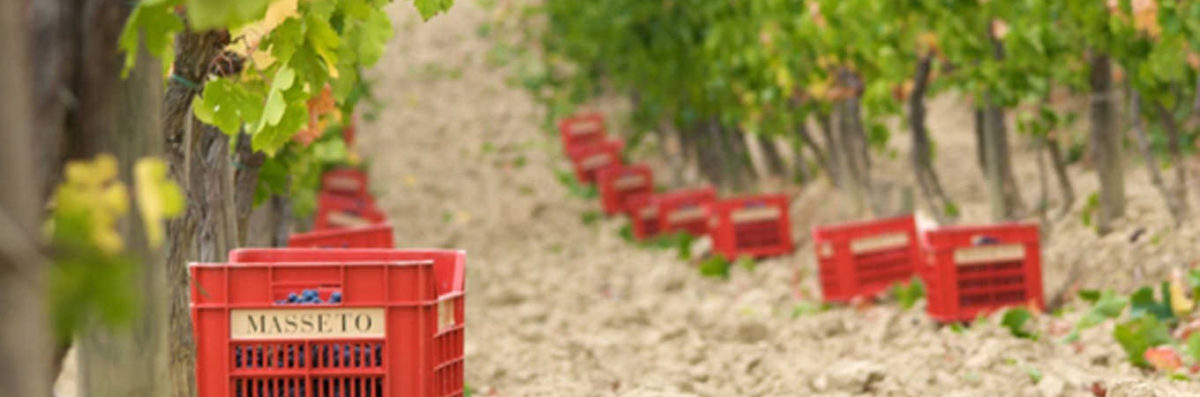 TUSCAN LABELS