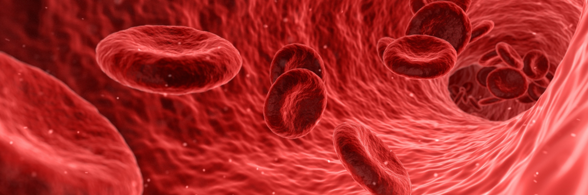 PLASMA IPERIMMUNE